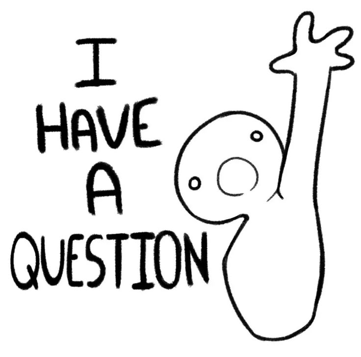 so internet I’ve got some questions