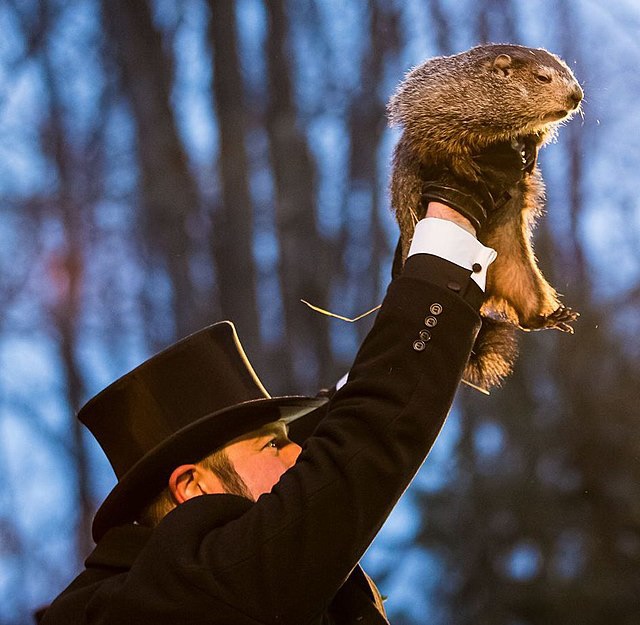 punxsutawney phil, you’ve got some competition