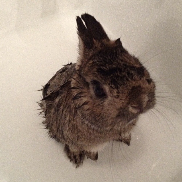 had to update y’all