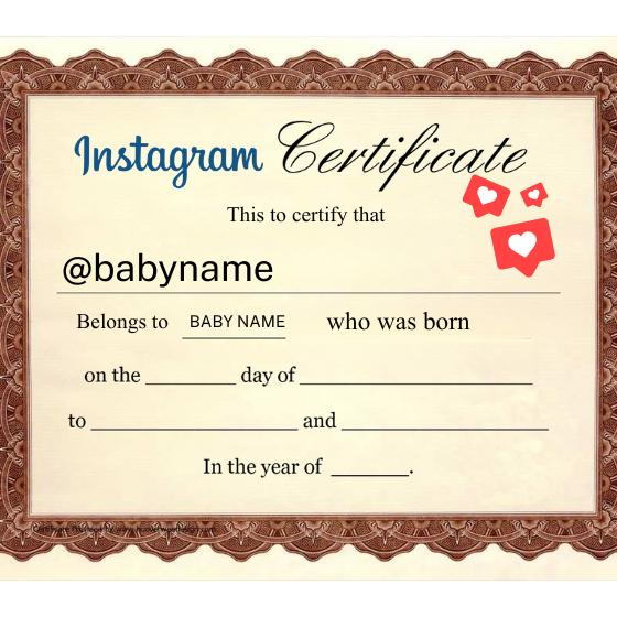 i’m not leaving the hospital until i’ve secured an ig handle for my baby