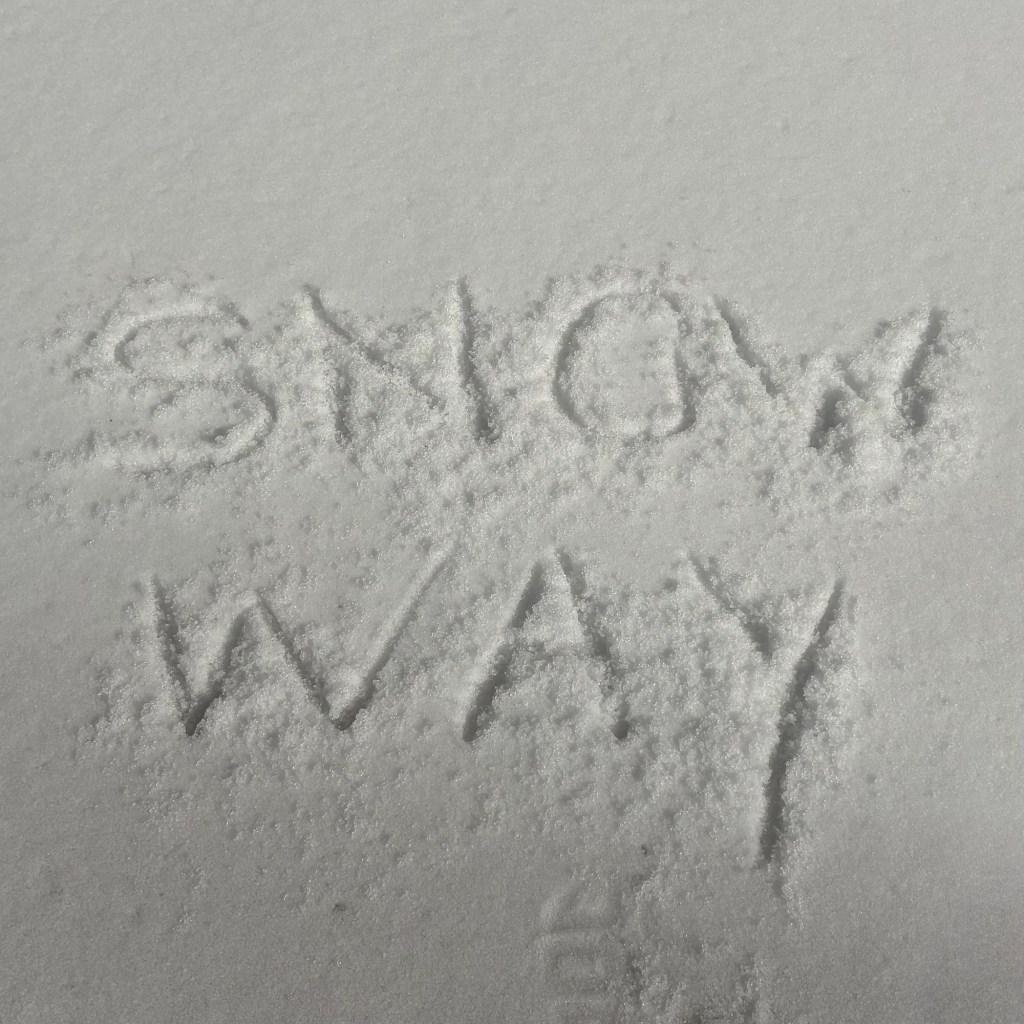 Where did that come&nbsp;from?