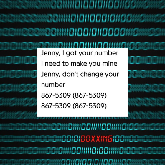 8675 309
